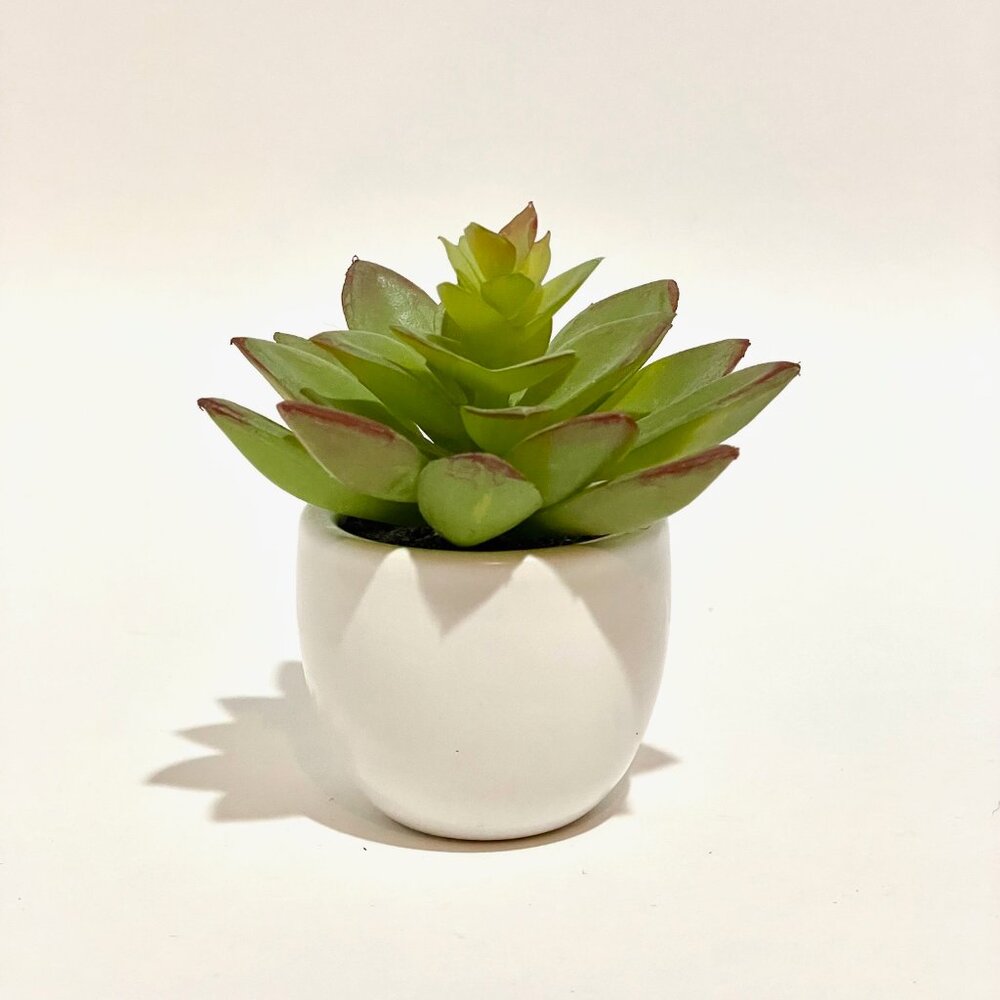 3.5" Mini Tabletop Succulent Artificial Plant - Threshold